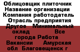 Облицовщик-плиточник › Название организации ­ Компания-работодатель › Отрасль предприятия ­ Другое › Минимальный оклад ­ 30 000 - Все города Работа » Вакансии   . Амурская обл.,Благовещенск г.